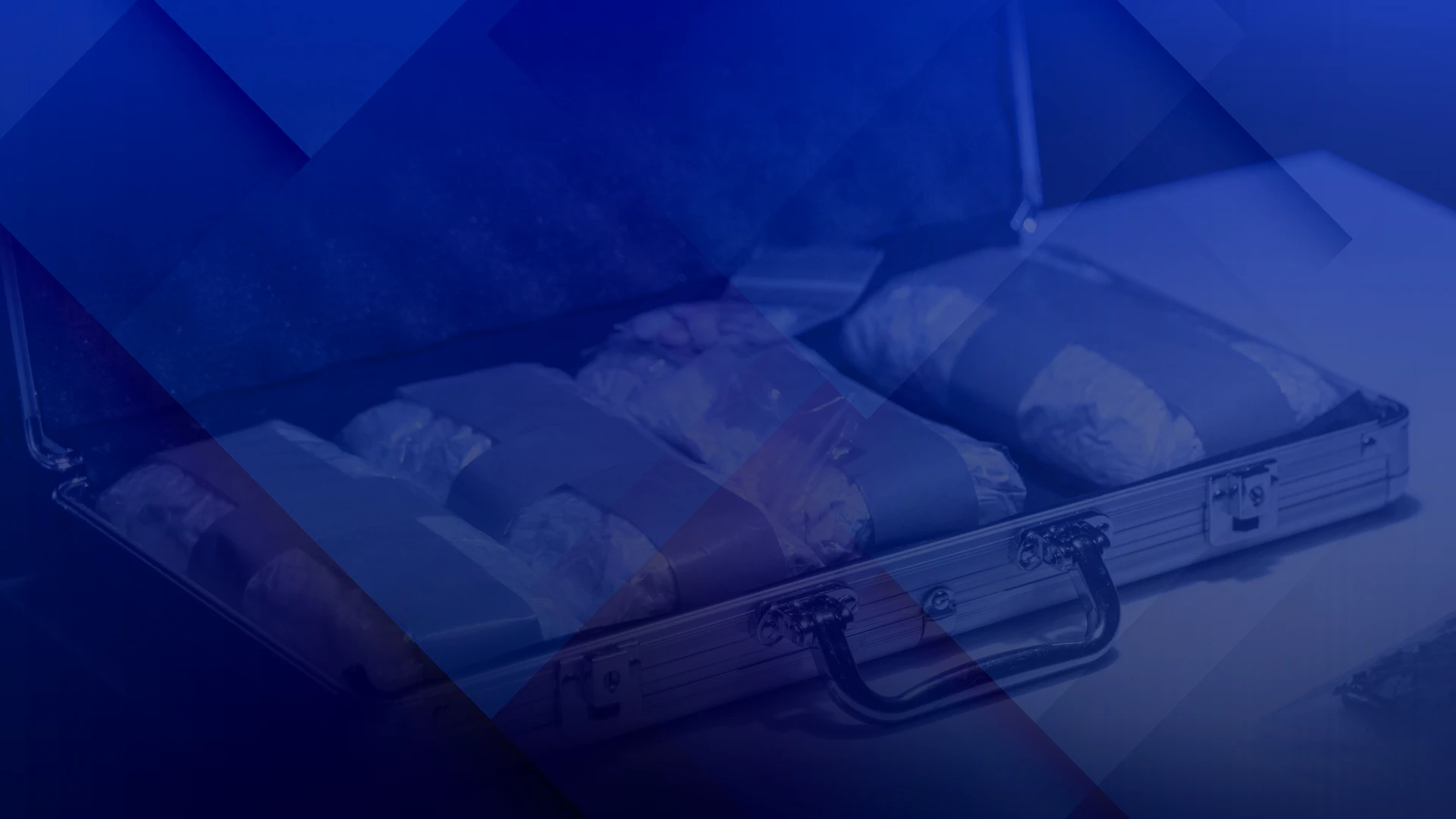 Renforcer Europol pour démanteler les réseaux de passeurs